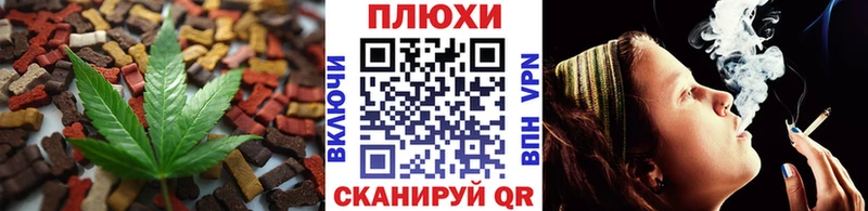 Canna-Cookies марихуана  Судогда 