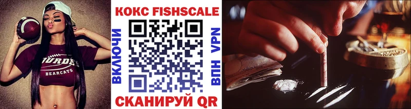 COCAIN FishScale  где купить наркотик  Судогда 