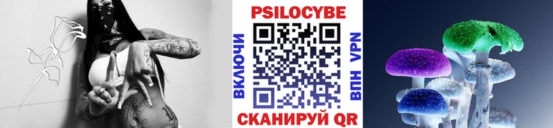 Псилоцибиновые грибы прущие грибы  закладка  Судогда 